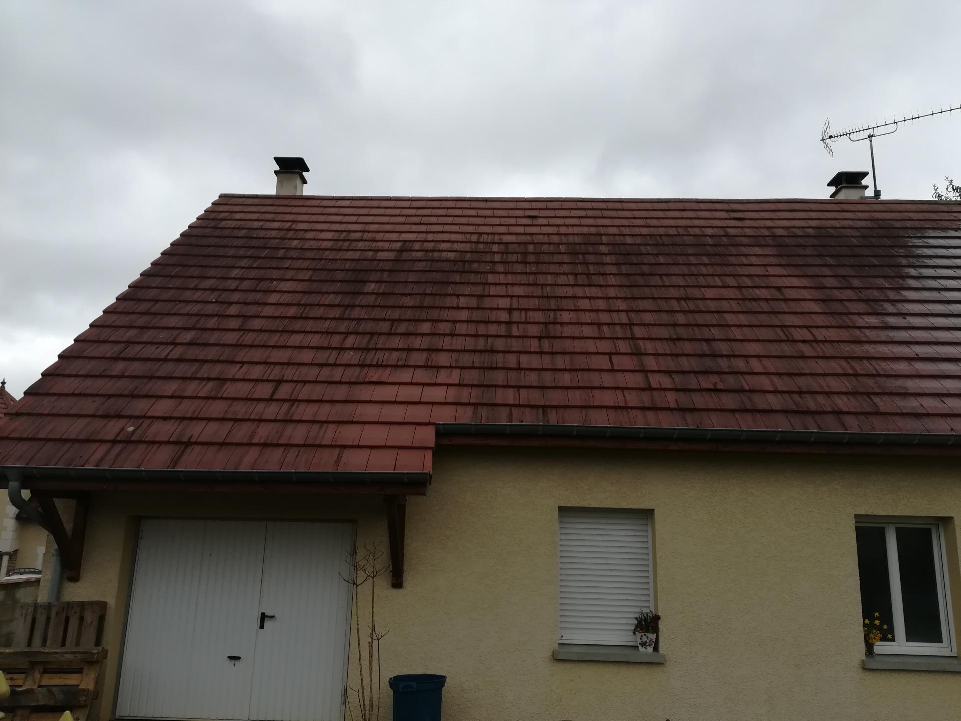 IMG_20190318_105052